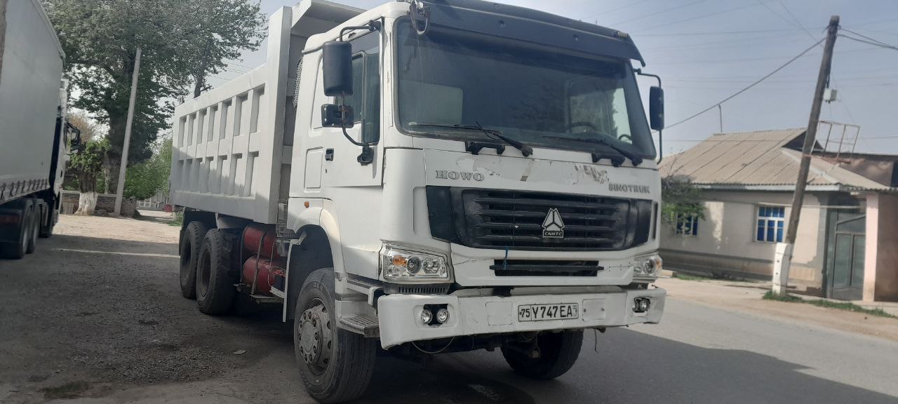 Bir qiz sigirning kokraklarini soradi